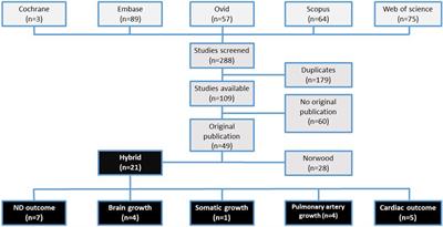 Neurodevelopmental and functional outcome in hypoplastic left heart syndrome after Hybrid procedure as stage I